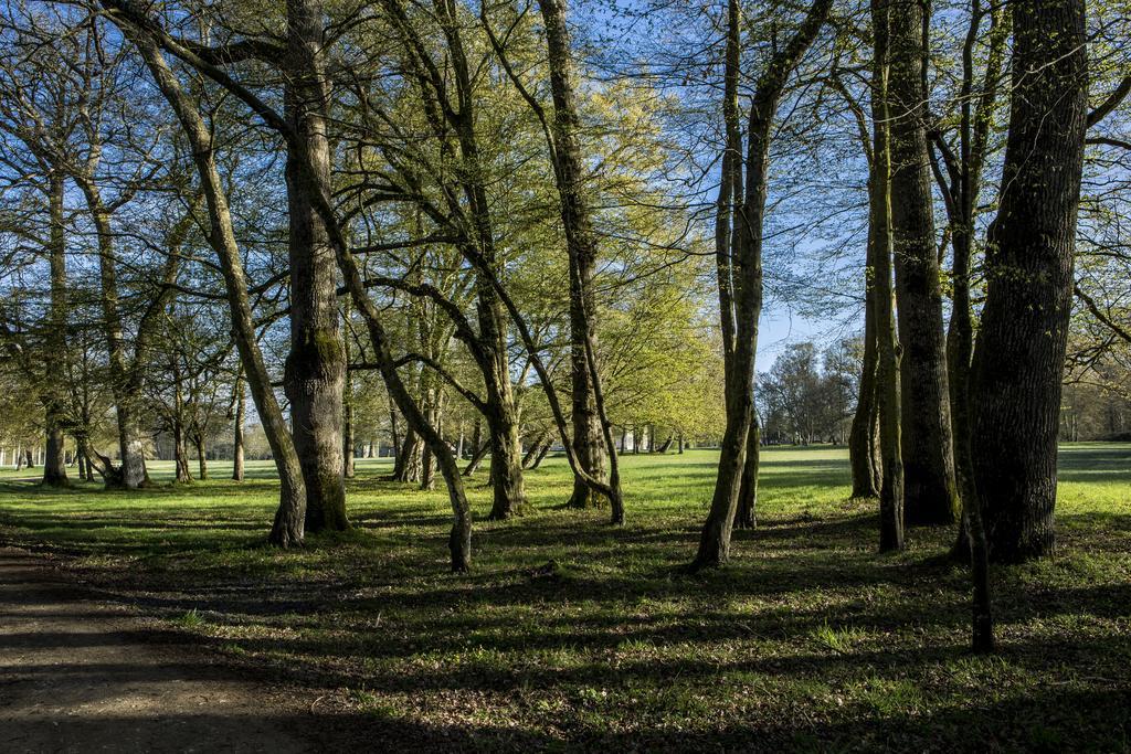 Chateau Des Briottieres Champigne Екстер'єр фото